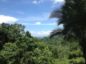 Miramar Lodge - Image 3