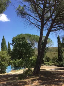 B&B Le Torrette - Image 4