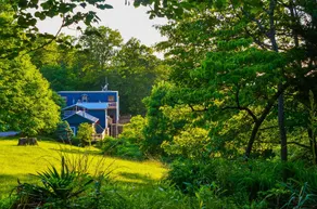 Treetop Retreat - Image 2