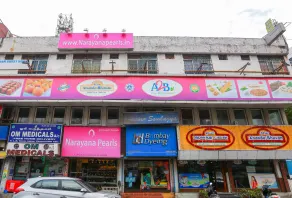 Spot ON 49012 New Adyar Guest House - Image 3
