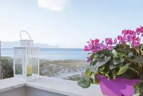 Casa Mimosa - Image 5