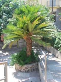 Hotel San Giuseppe - Image 4