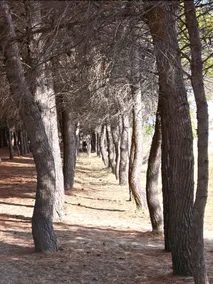 Villino Gabriele - Image 4