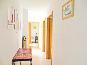 Can Pedro - Image 3