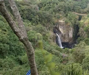 Finca Santa Rosa - Image 3