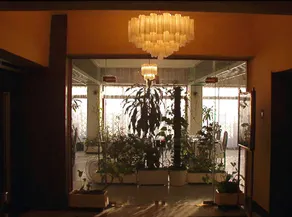 Cairo Khan - Image 5