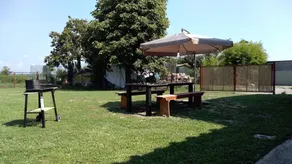 Violino - Image 3