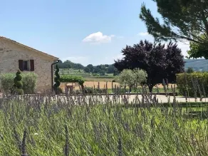 La Petite Campagne - Image 2