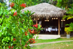 Kadolana Eco Village - Image 2