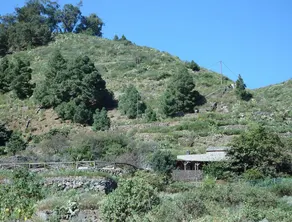 Finca Casa Blanca - Image 3