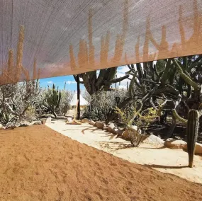 Wind Rider Club - Image 5