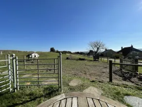 Surf Shack - Impeccable 1-bed Cottage in Shorwell - Image 3