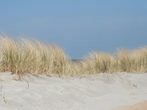 Secluded Apartment in Börgerende-rethwisch With Sauna - Image 3