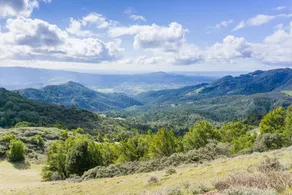 2br Wine Country Gem W/ Large Backyard 2 Bedroom Home - Image 5