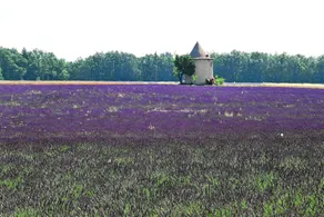 Le Mas Du Loriot - Image 2