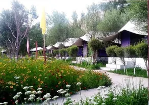 Valley Flower Camp - Image 3