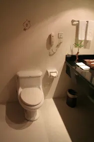 Wenzhou New South Asia Xinye Hotel‌ - Image 2
