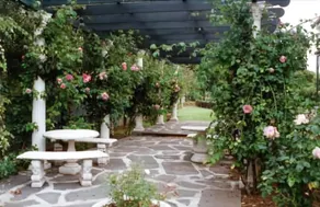 Merton Manor - Image 5