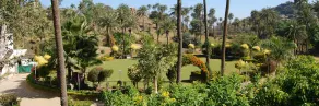 Manwar Garden Resort (Pure Veg) - Image 5