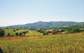 Greppo A - Image 3