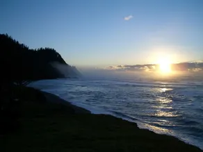 Bears Head - Image 3