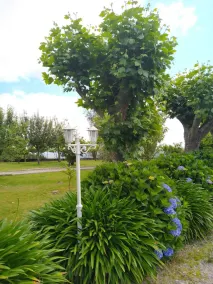 Quinta do Engenho - Image 3