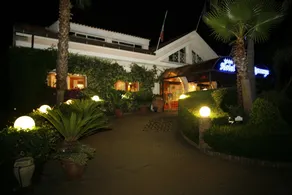 Leucosya - Image 5