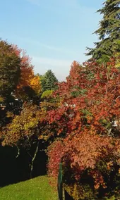 La Rocchetta Bed & Breakfast - Image 2