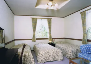 Resort Inn White Silver - Image 5