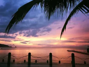 Go Deeper Tioman - Image 5