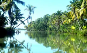 Havelia Island Resort - Image 4
