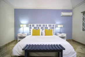 Green Monkey Villa - Image 2