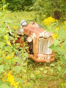 Edgewood Plantation - Image 5