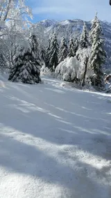 Serrecheholidays - Image 5