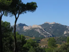 L'Aube Safran - Image 4