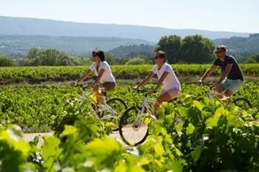 Château Martinay - Image 4