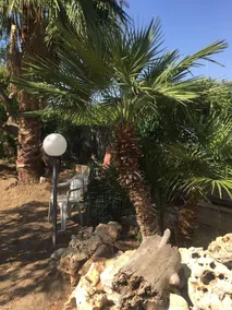 In Canoa Inn - Image 5
