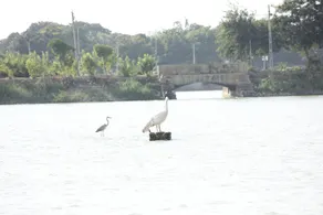 Hotel Shiv Lake - Image 5