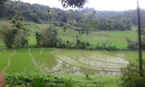 Kandy Village Glamping - Image 5