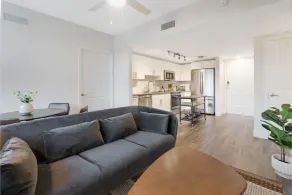 Biscayne Townhomes by Sextant - Image 4
