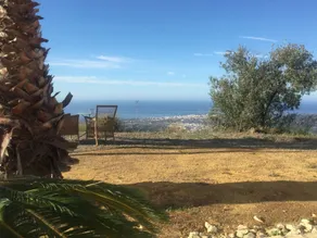 Finca Luna - Image 4