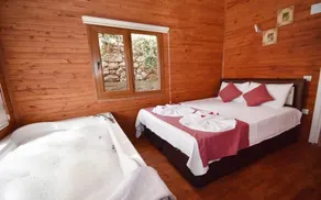 Villa Honey - Image 3