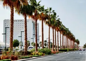 7 Min to Beach 2 BR City Walk - Image 5