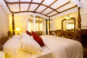 Serene Villa - Image 5