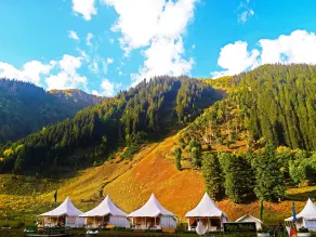 Sheen Woods Resort - Image 2
