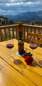 Vineyard cottage Stopar - Image 4