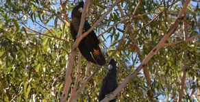 Armadale Farmstay Bed & Breakfast - Image 5