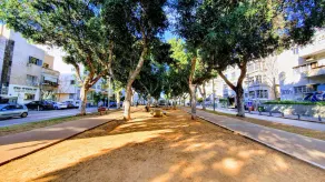 Step To Neve Tsedek Brand New TL18 - Image 4