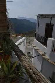 Castano Real - Image 5