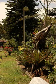 Al Bosque Hostel & Glamping - Image 2